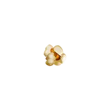 Pirots 2 -popcorn-symboli